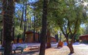 Idyllwild Arts Academy