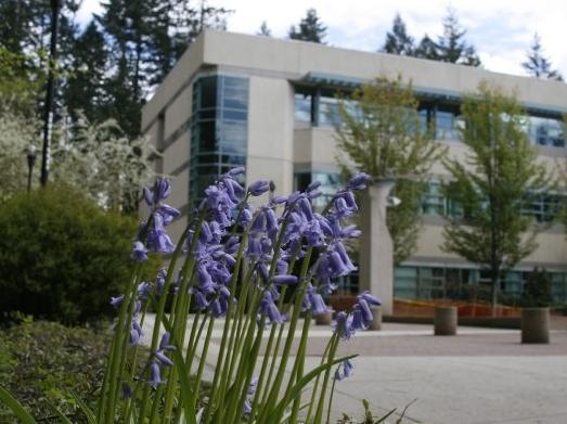 Университет Capilano University Университет Capilano University